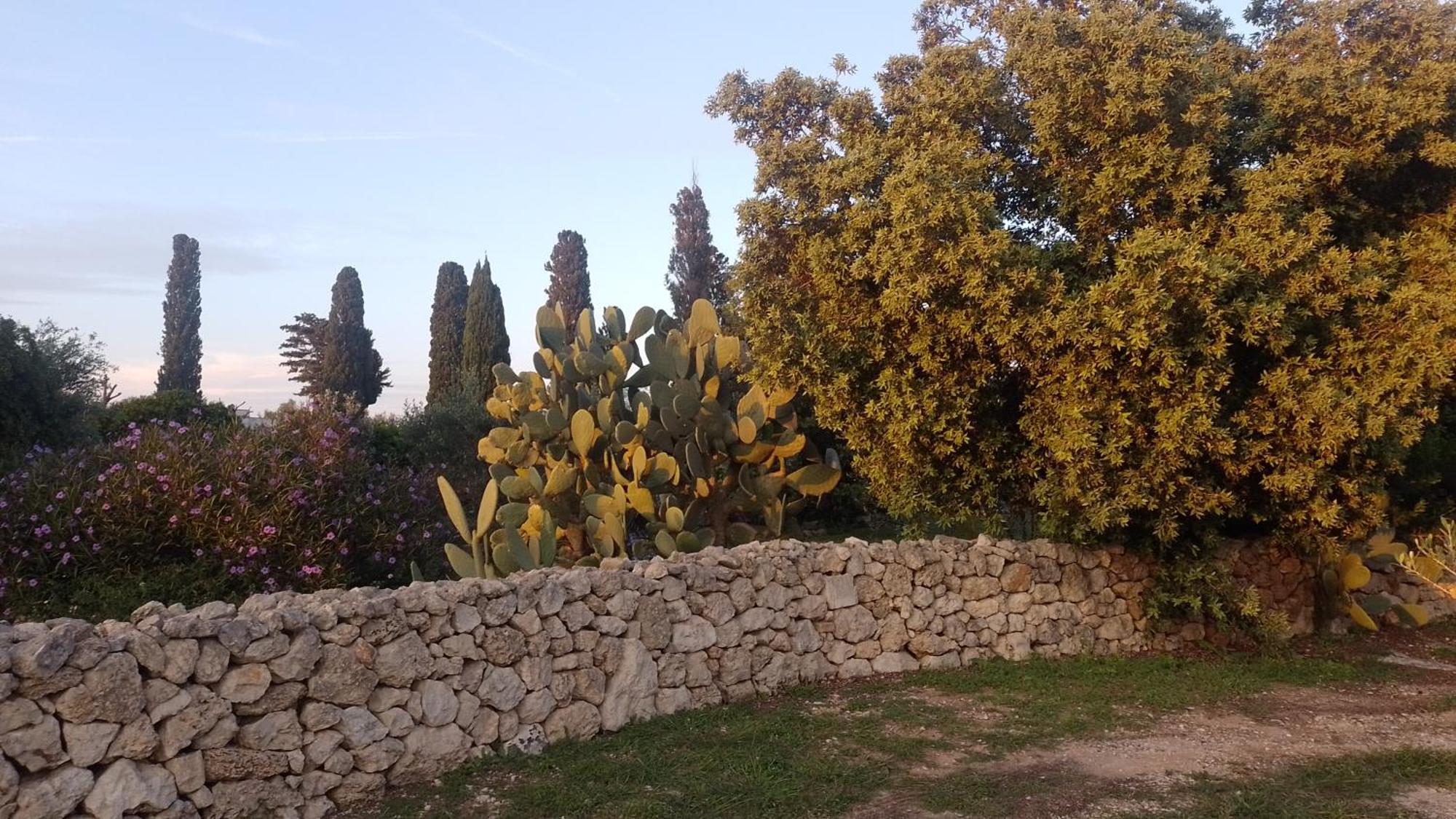 Agriturismo Villa Coluccia Martano Exterior photo